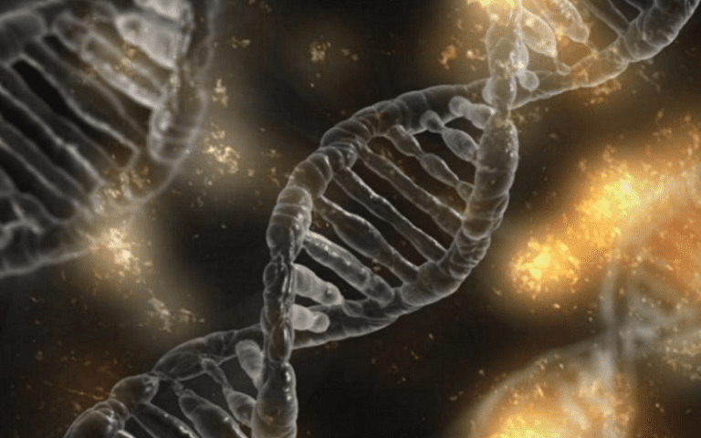 dna testing citizenship applications