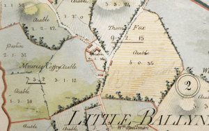 irish ancestors land applotments