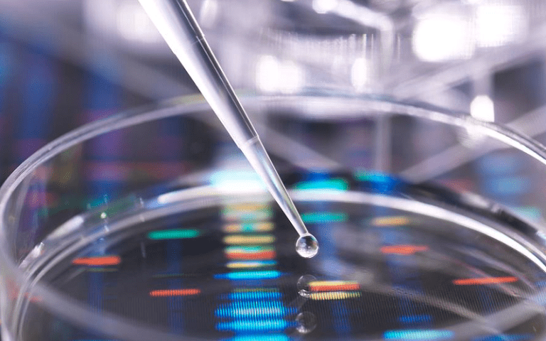 using dna testing italian genealogy