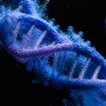 population genetics reveals daily life