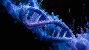 population genetics reveals daily life
