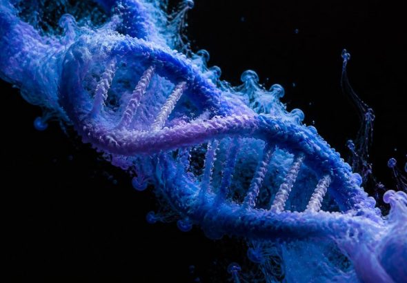 population genetics reveals daily life