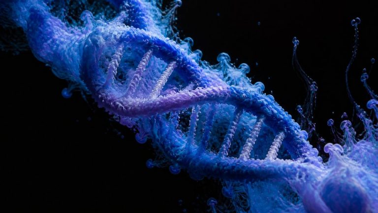 population genetics reveals daily life
