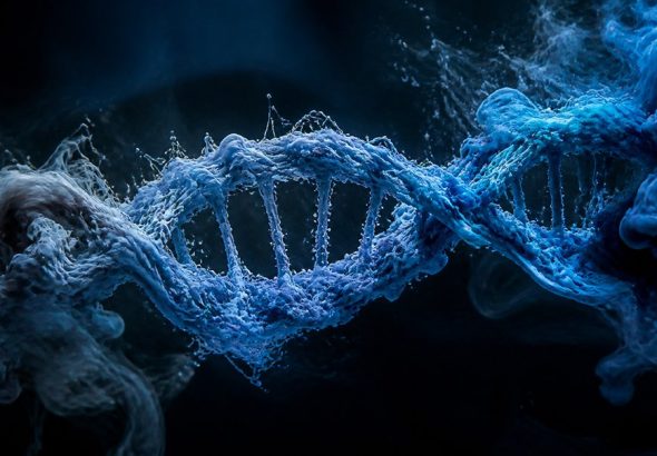what consumer ancestry tests do not analyze