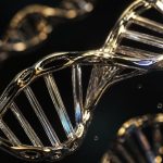 migration patterns shaped genes you carry