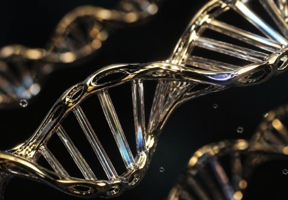 migration patterns shaped genes you carry