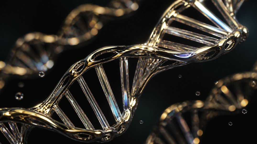 migration patterns shaped genes you carry