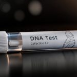 ancestrydna vs selfdecode dna tests