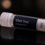 some ancestries more sensitive to alcohol