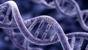 the genes behind your sweet tooth