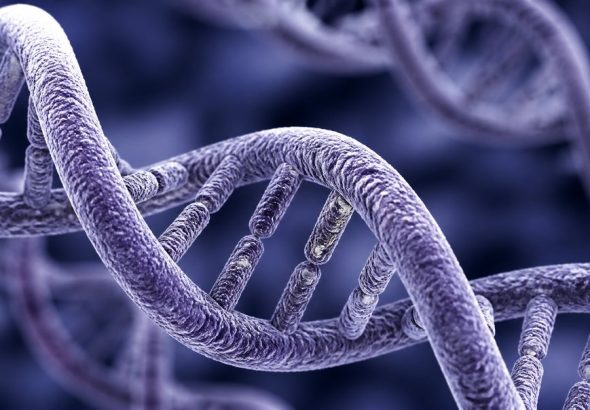 the genes behind your sweet tooth