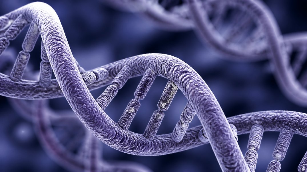 the genes behind your sweet tooth