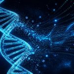 genetic information from raw dna file